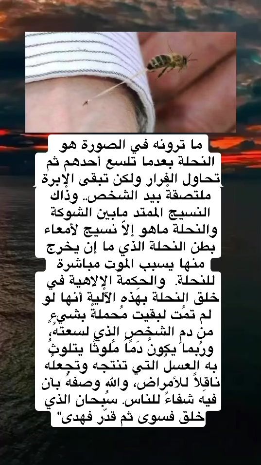 TikTok video thumbnail by sovan_s_abbas
