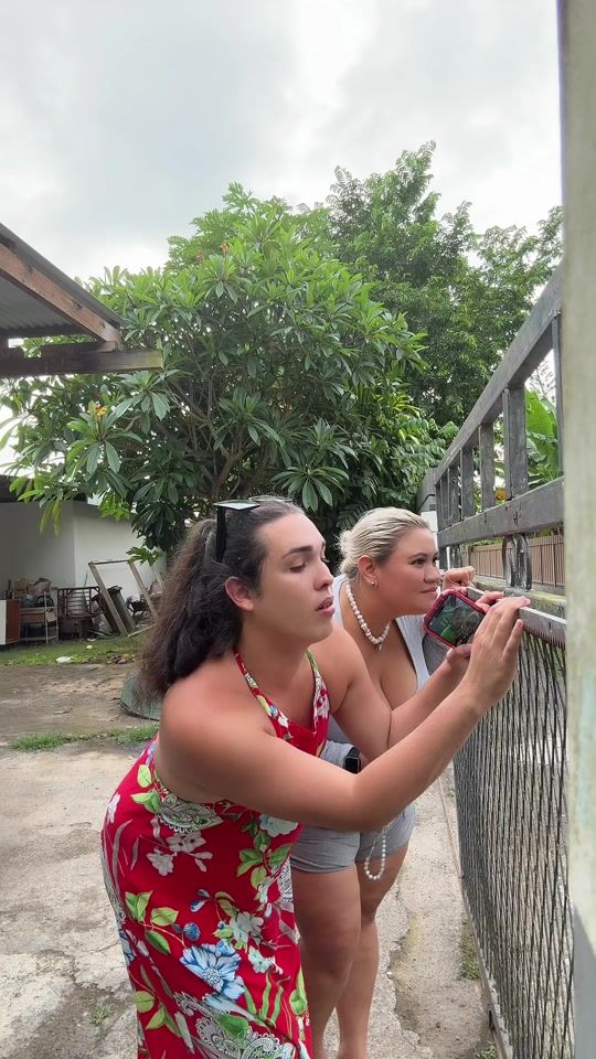 TikTok video thumbnail by manuarii.talon