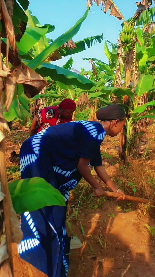 TikTok video thumbnail by hatim.dean1