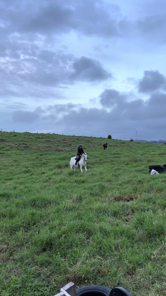 TikTok video thumbnail by gg._.equestrian