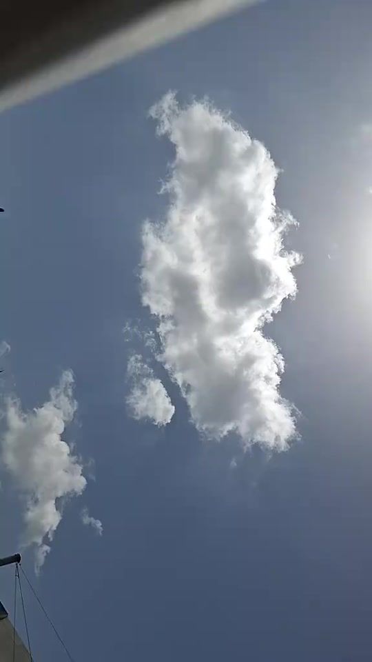 TikTok video thumbnail by hpw864