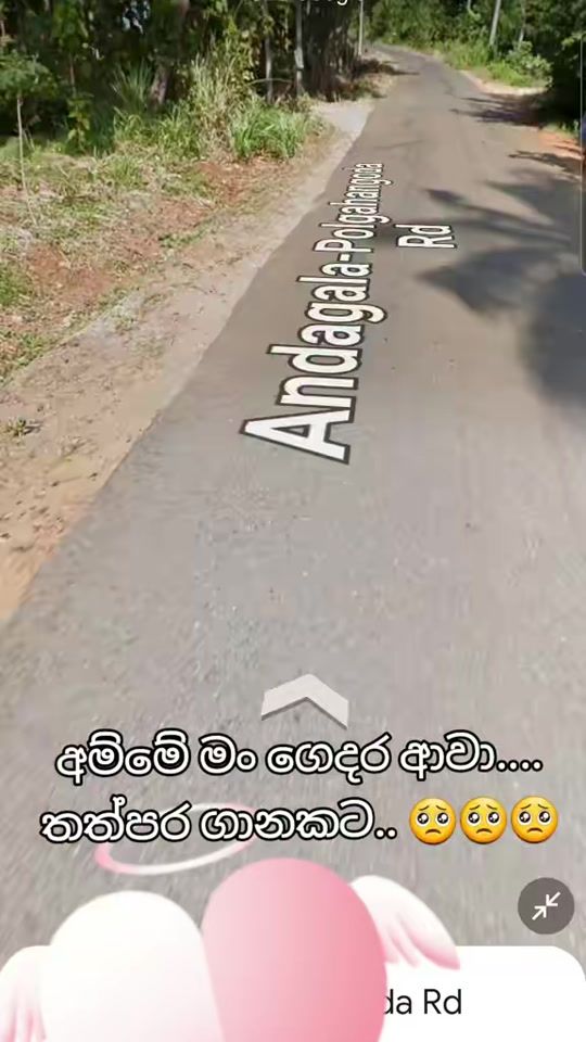 TikTok video thumbnail by champi304