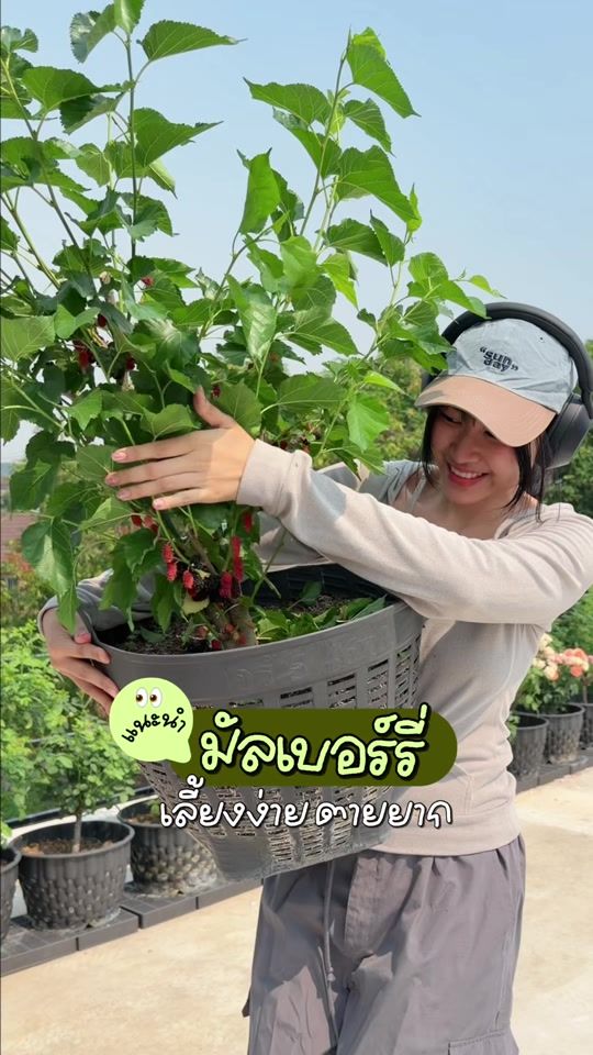 TikTok video thumbnail by misspannykan