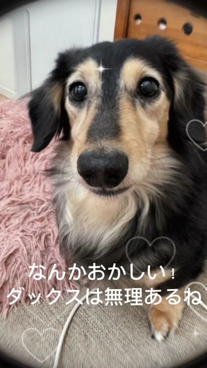 TikTok video thumbnail by zenese6