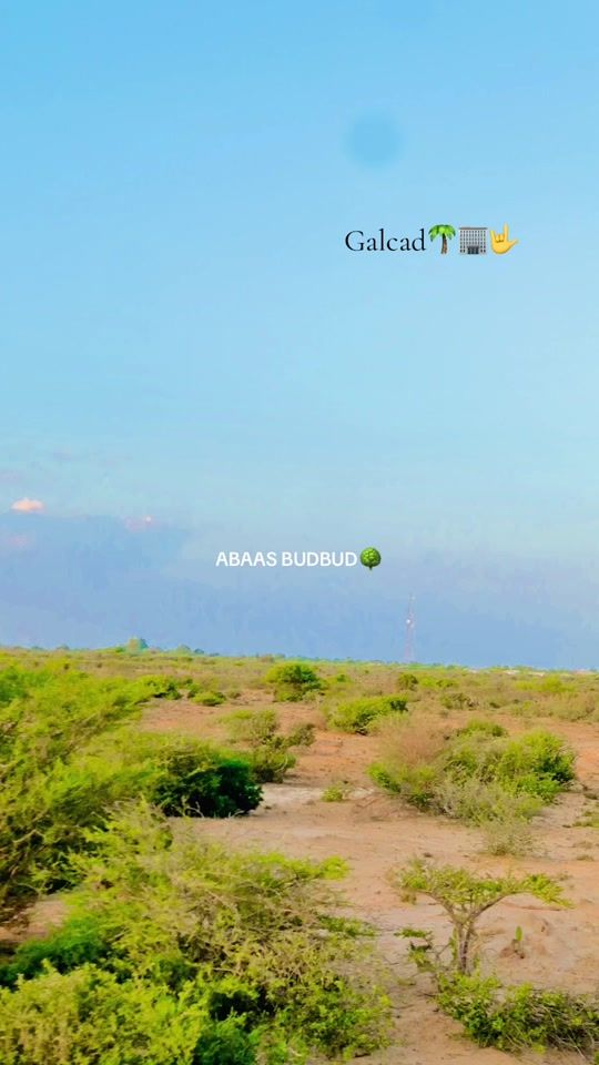 TikTok video thumbnail by abaas__budbud