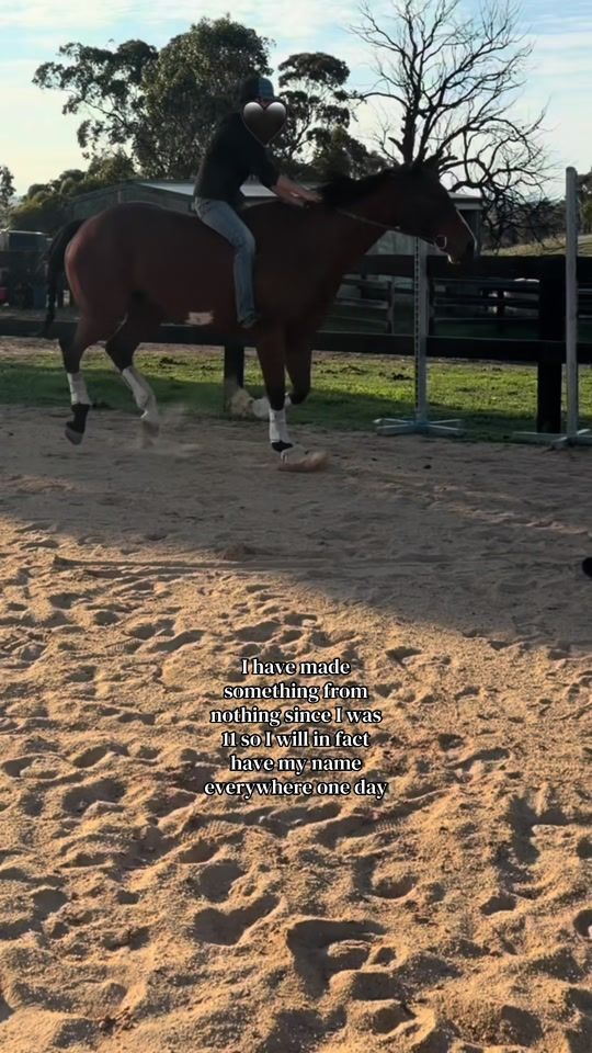 TikTok video thumbnail by thecrazy.geldings