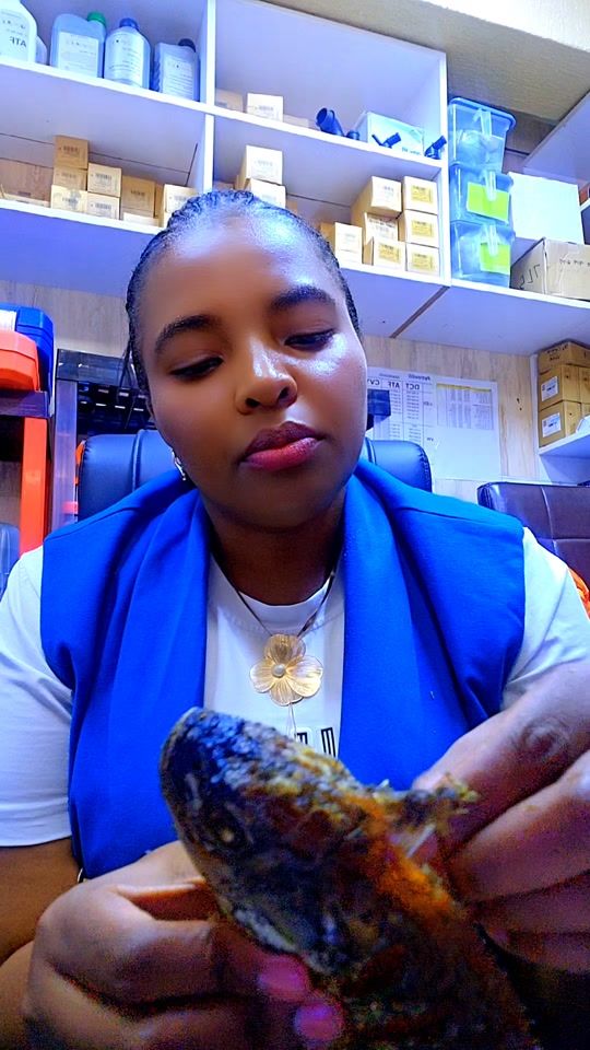 TikTok video thumbnail by lizziejackson69