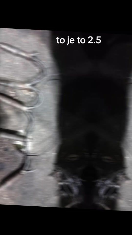 TikTok video thumbnail by eldinsajra