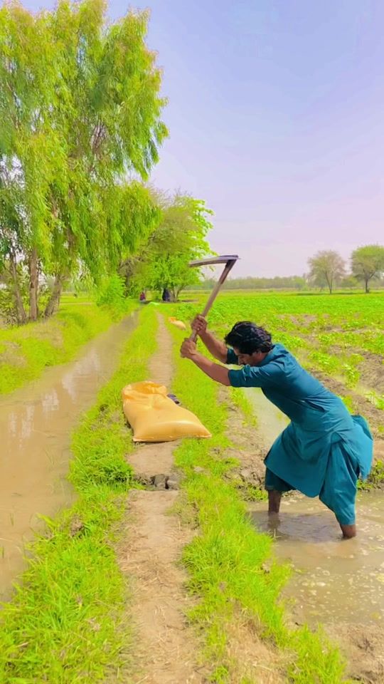 TikTok video thumbnail by farmer4680