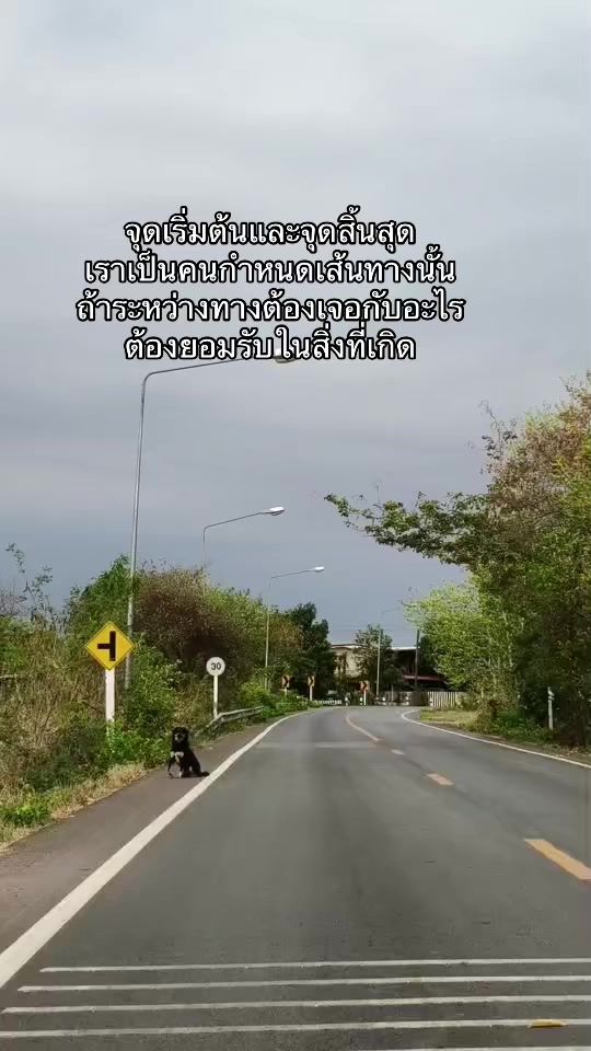 TikTok video thumbnail by grapezaanda