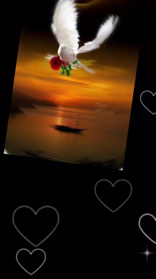 TikTok video thumbnail by besma_1950