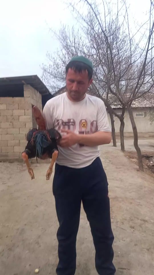 TikTok video thumbnail by tilavoldiyev.akma