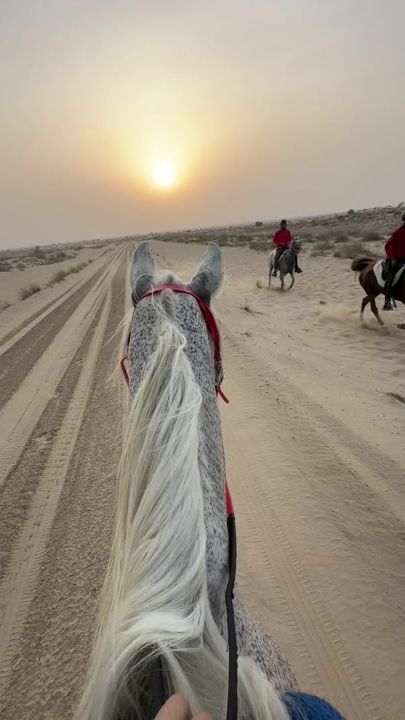 TikTok video thumbnail by abdulghani2597