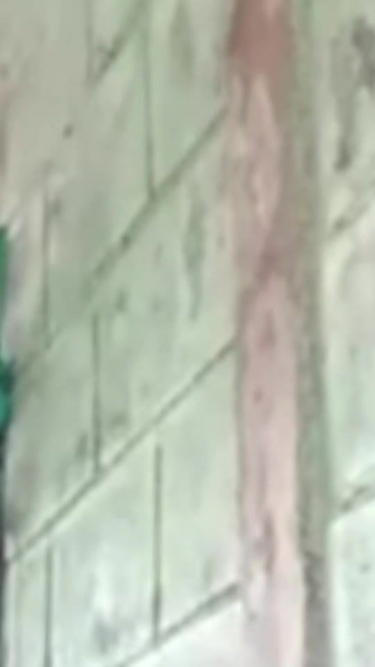 TikTok video thumbnail by morenitabaez1