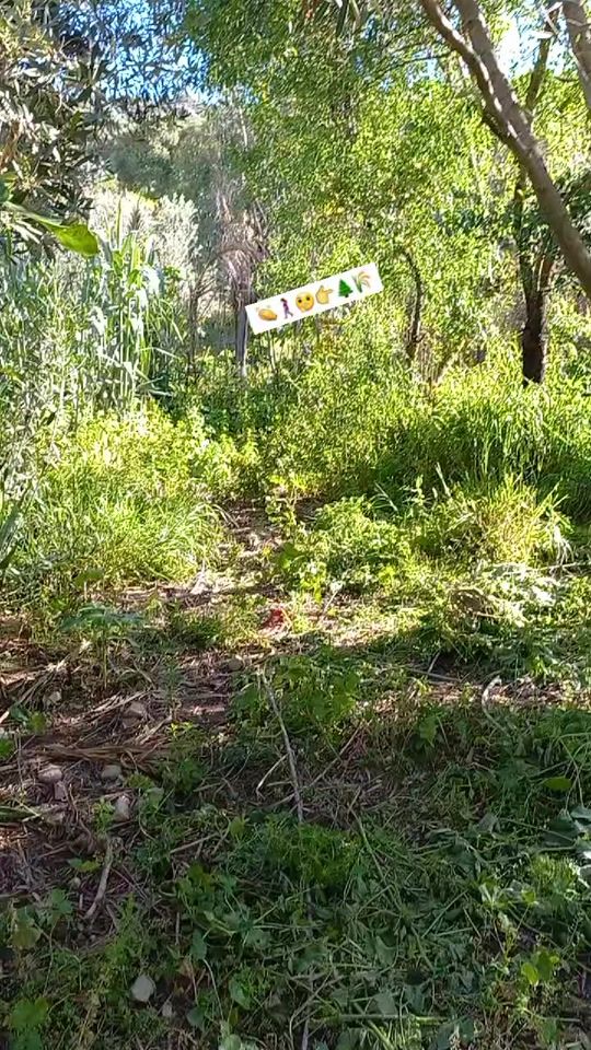 TikTok video thumbnail by prinsisasouad0