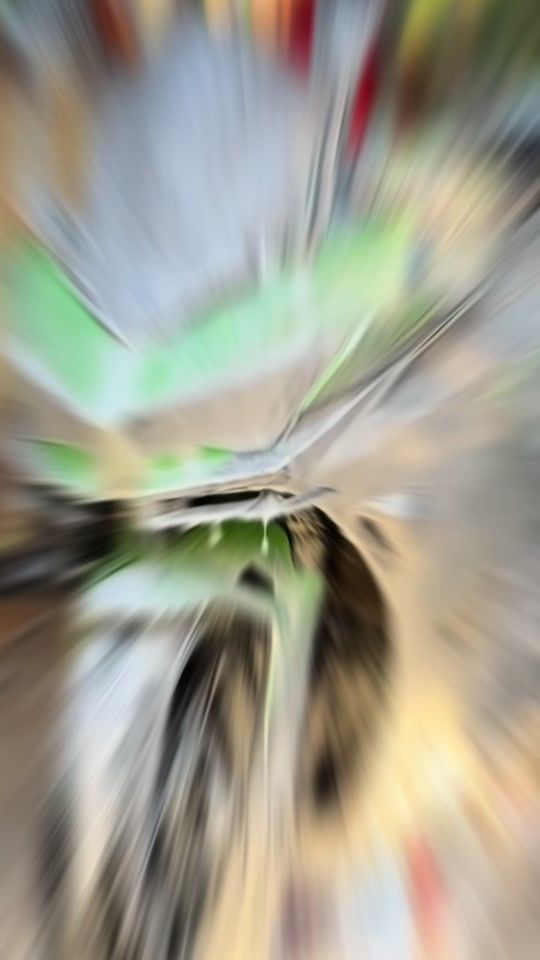 TikTok video thumbnail by rbt.garaz