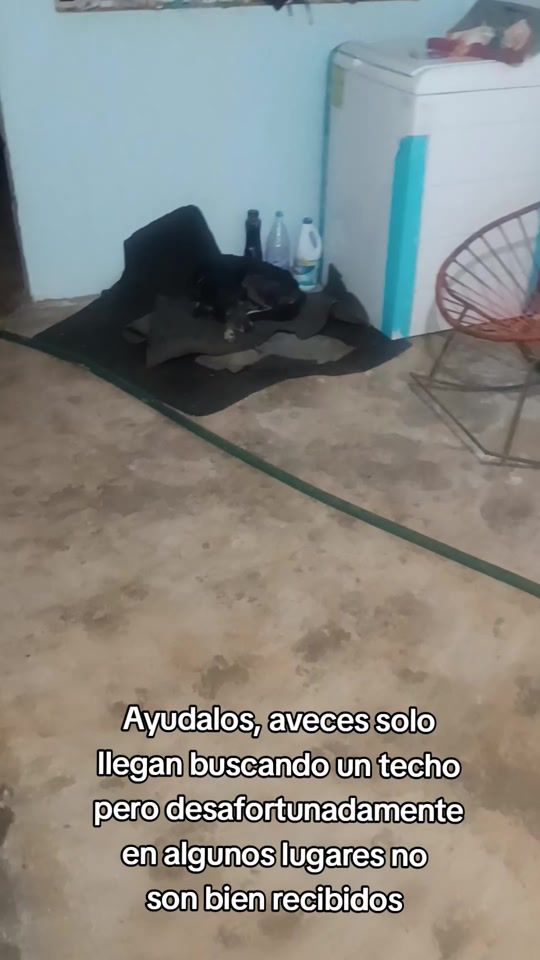 TikTok video thumbnail by mugiwaraldrago