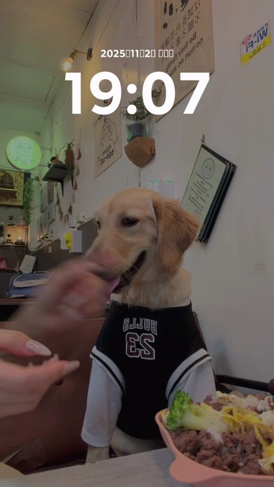 TikTok video thumbnail by shang112260