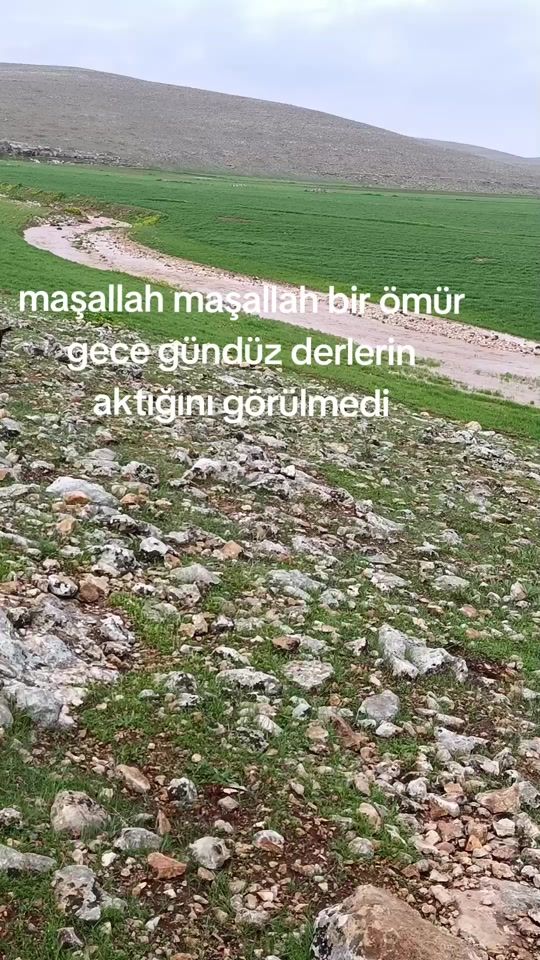 TikTok video thumbnail by 63_ahmetarslan
