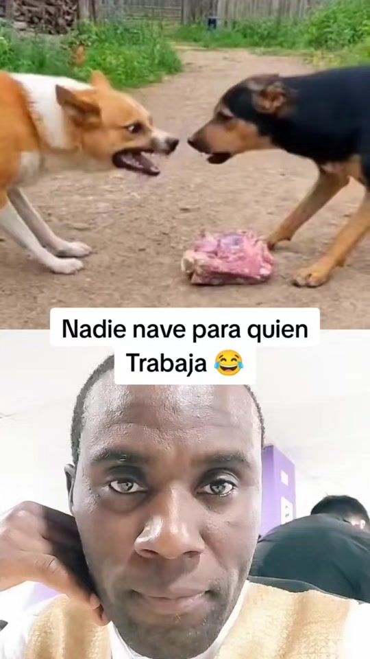 TikTok video thumbnail by anibalbellido1
