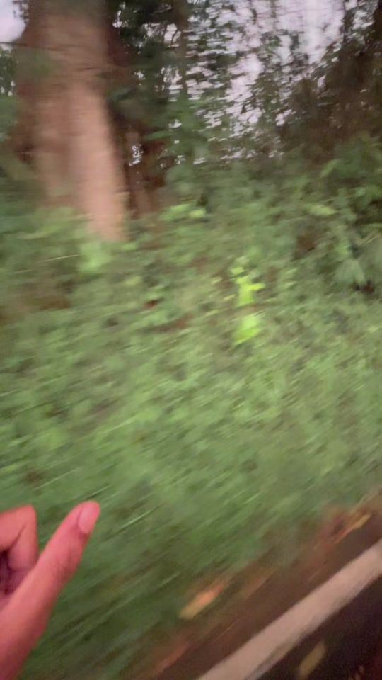 TikTok video thumbnail by gee_270