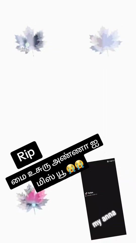 TikTok video thumbnail by suji6385