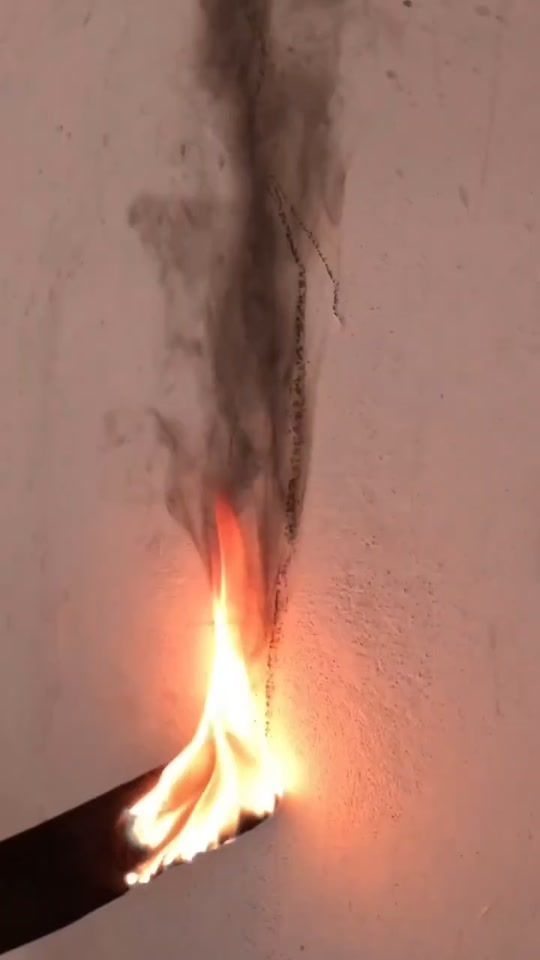 TikTok video thumbnail by amed0_
