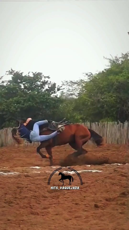 TikTok video thumbnail by hits_vaquejadaa