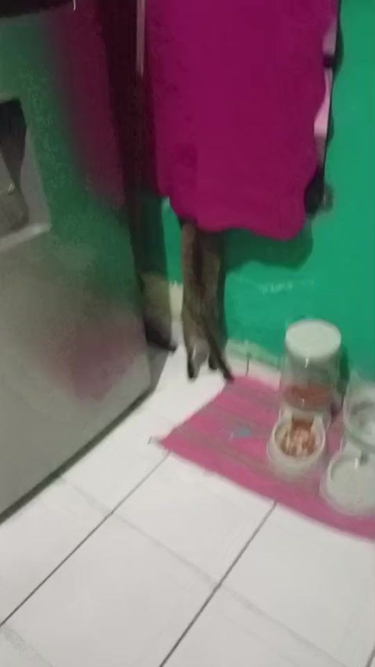TikTok video thumbnail by junior.cruz875