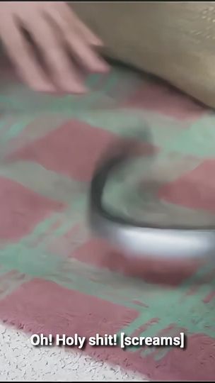 TikTok video thumbnail by rosieposiediditagain2