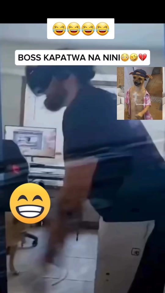 TikTok video thumbnail by just_kidy1