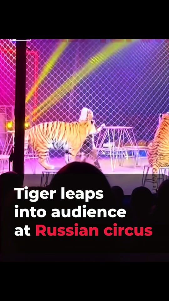 TikTok video thumbnail by spacewalker990