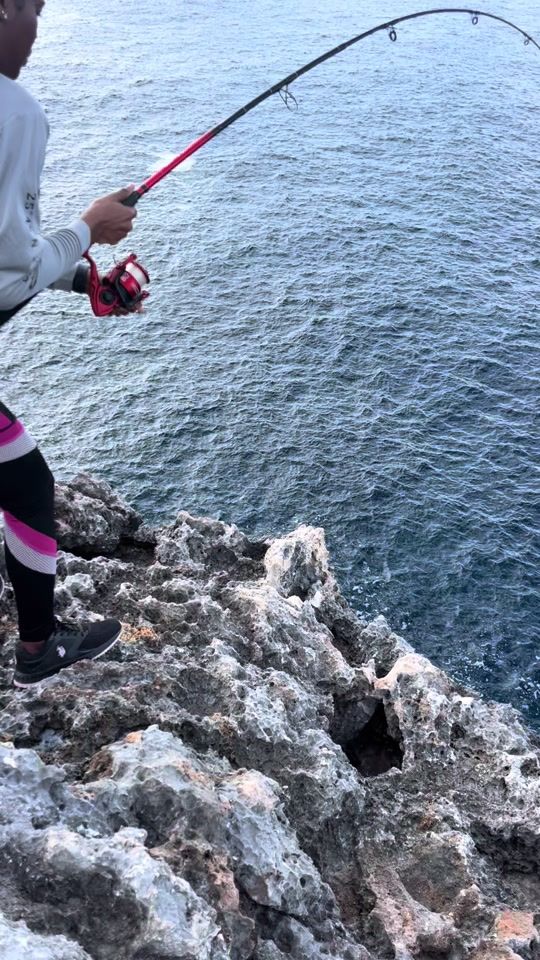 TikTok video thumbnail by eleuthera.shore.f