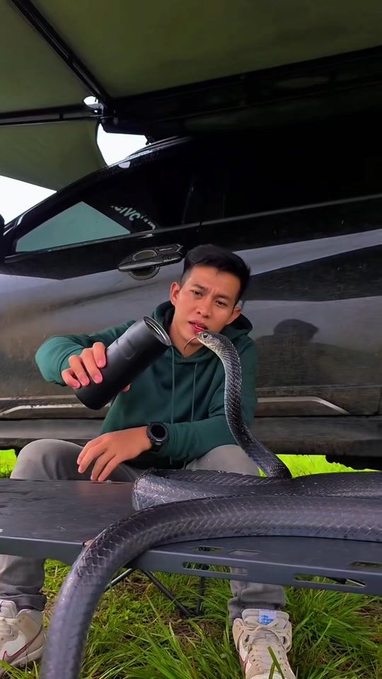 TikTok video thumbnail by thor_ladsg