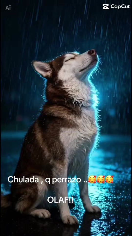 TikTok video thumbnail by lukacdmx