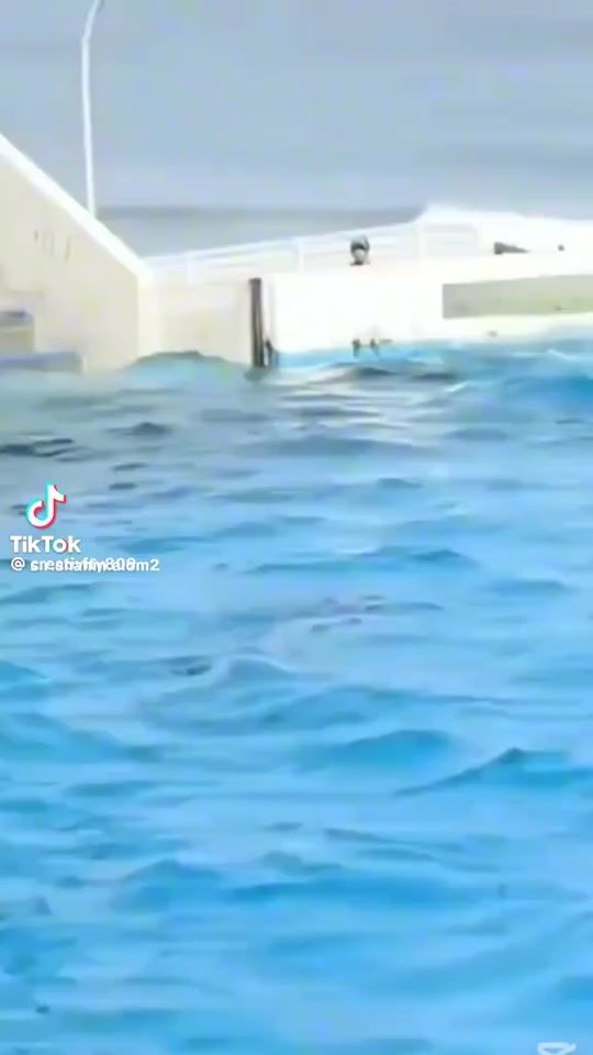 TikTok video thumbnail by user66376269555911