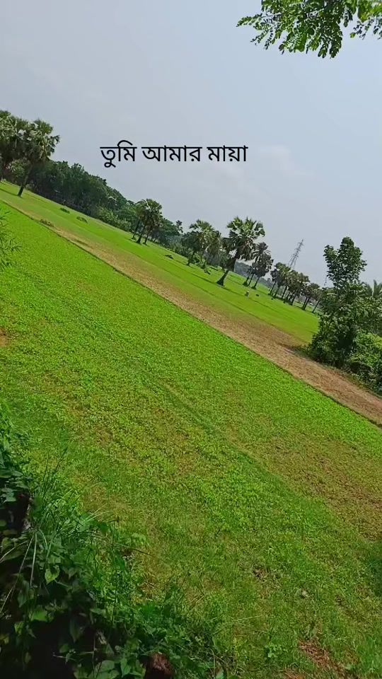 TikTok video thumbnail by sheikh.dulali