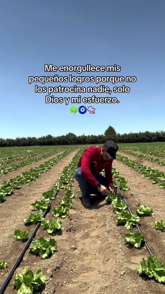 TikTok video thumbnail by agroboy_mx