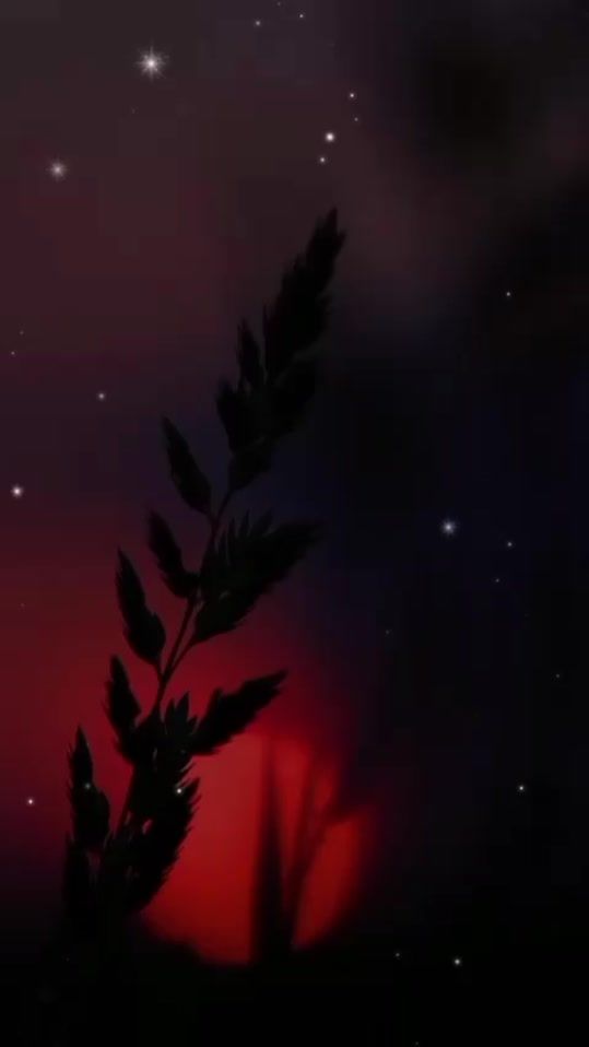 TikTok video thumbnail by yanerigarcia