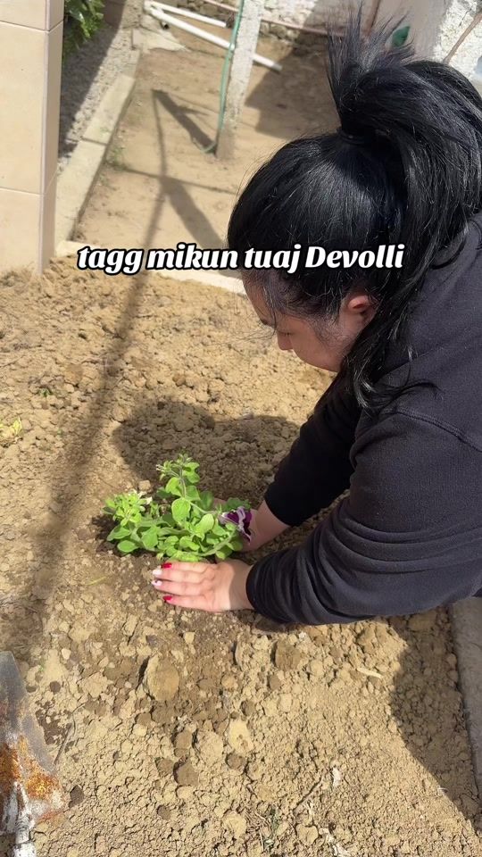 TikTok video thumbnail by genta_gjalpi_
