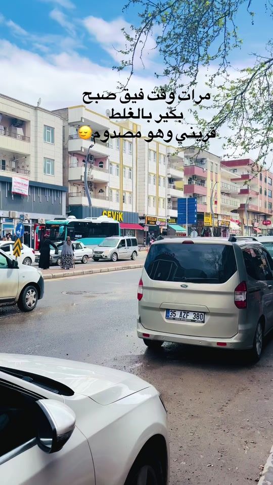 TikTok video thumbnail by berevan12345