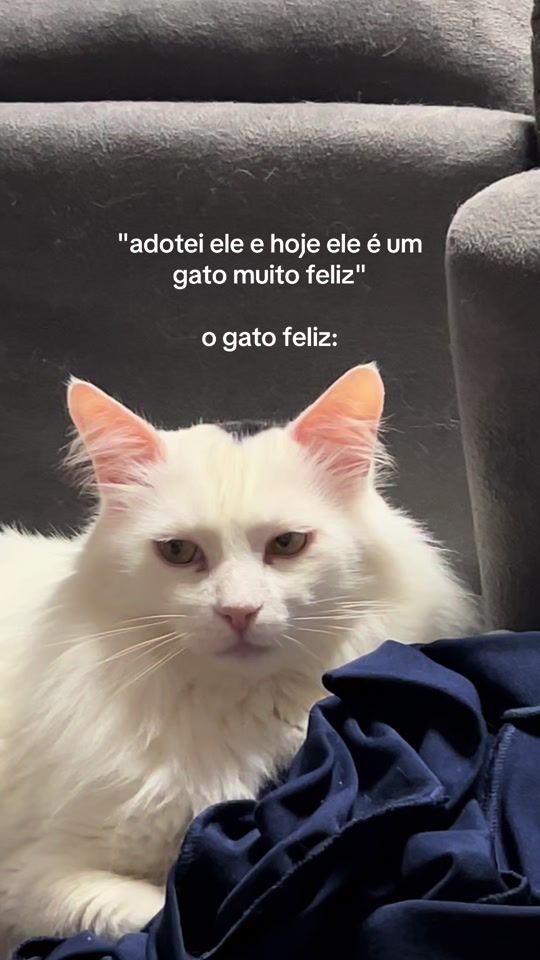 TikTok video thumbnail by saah_malheiro