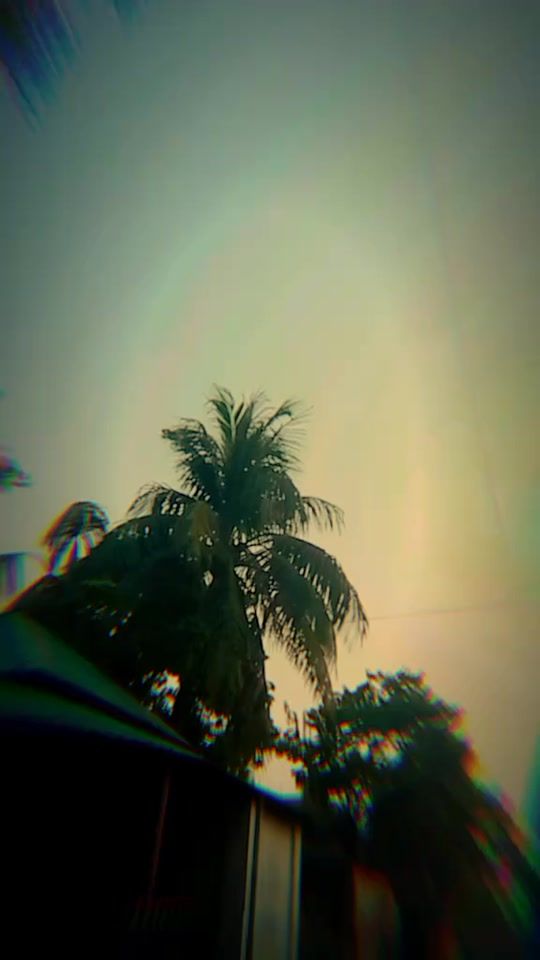 TikTok video thumbnail by md.jamir.mia282