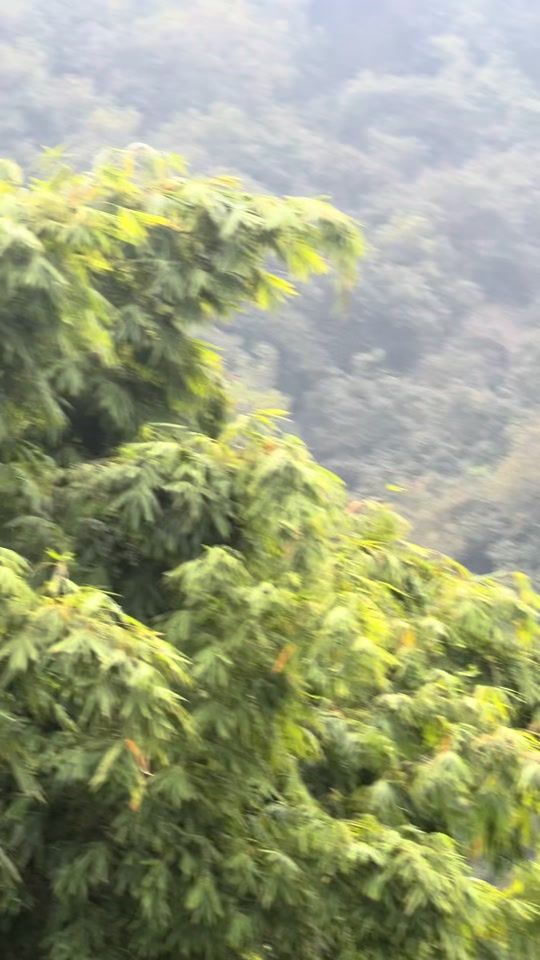 TikTok video thumbnail by focus_nepal