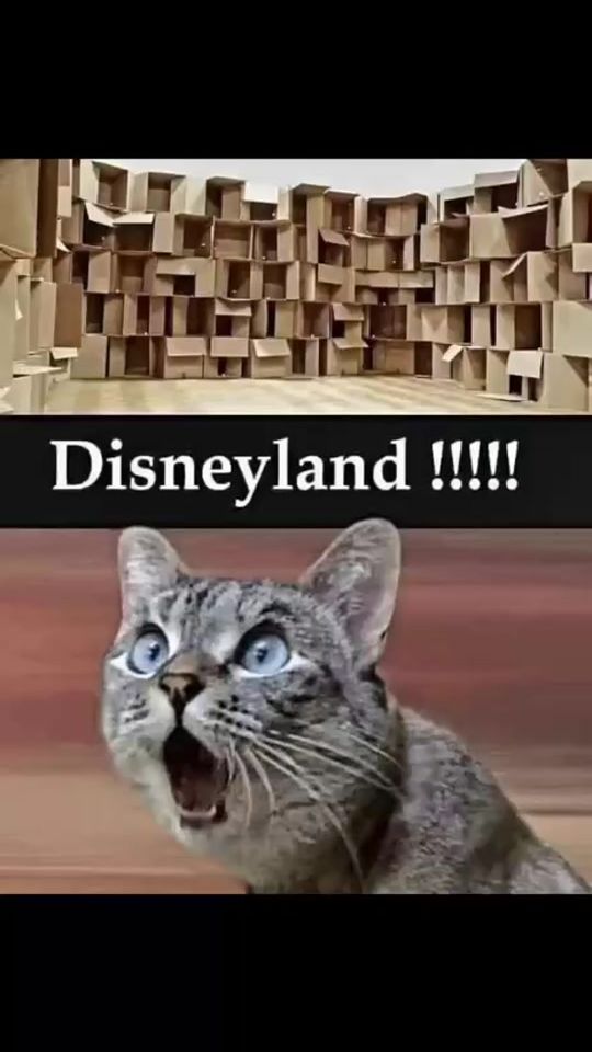 TikTok video thumbnail by phildacat1974