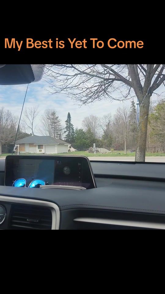 TikTok video thumbnail by swannyswanny75
