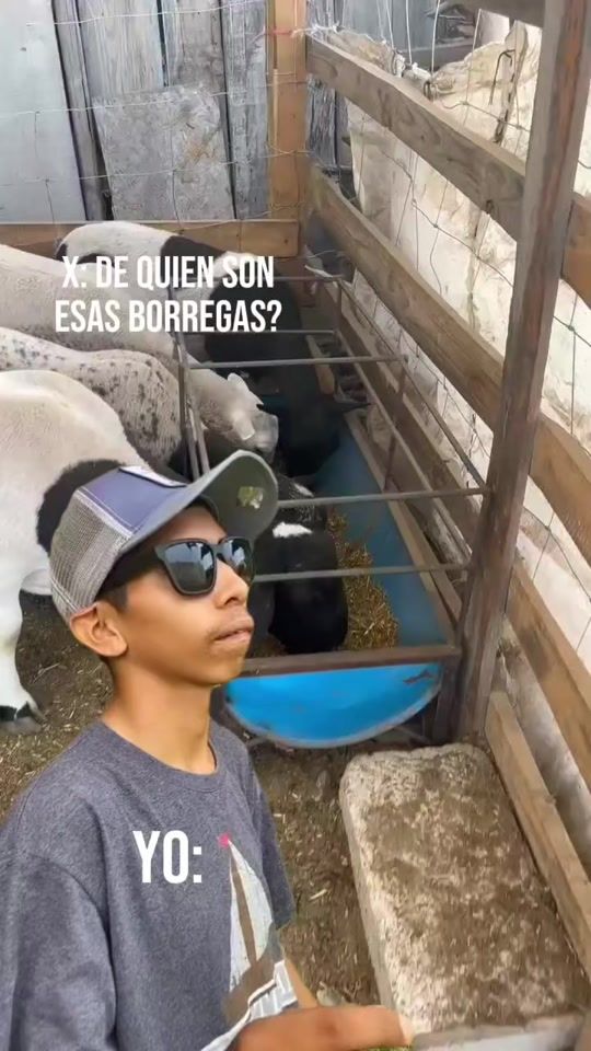TikTok video thumbnail by patio.borregoso