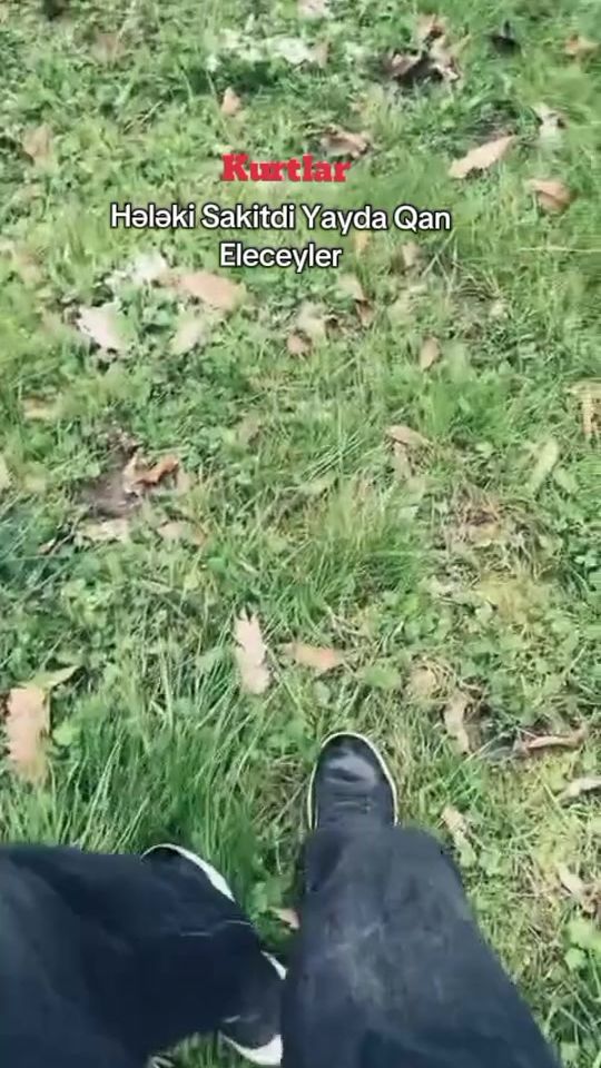 TikTok video thumbnail by keraadi.77