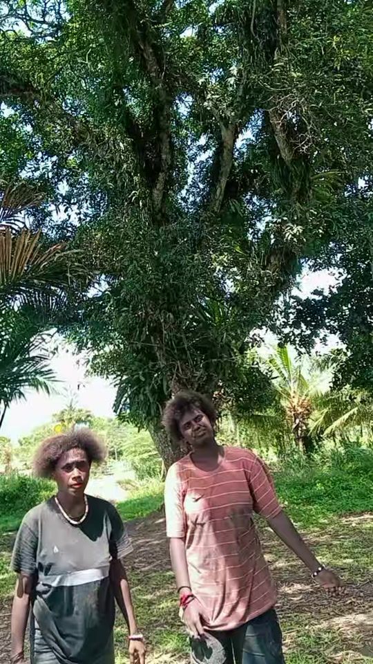 TikTok video thumbnail by singolo.mvmmy