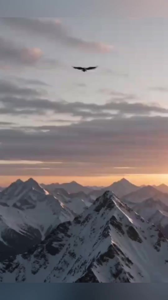 TikTok video thumbnail by hacuc.66